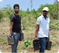 Volunteers carrying saplings for plantation activity 